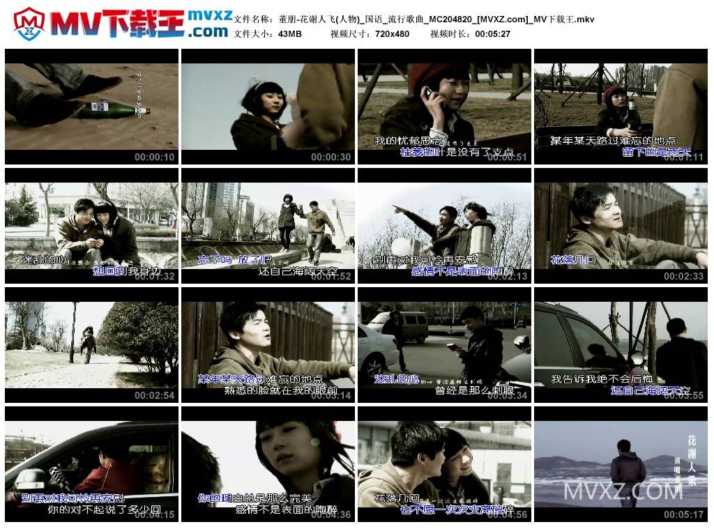 董朋-花谢人飞(人物)_国语_流行歌曲_MC204820